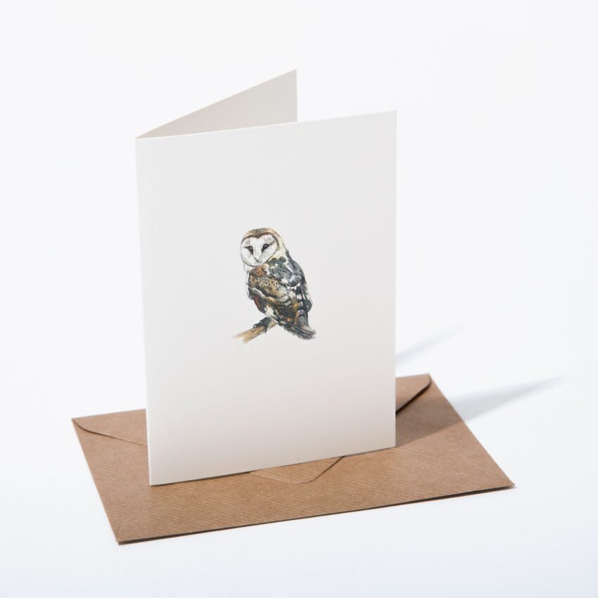 "Barn Owl" Greetings Card