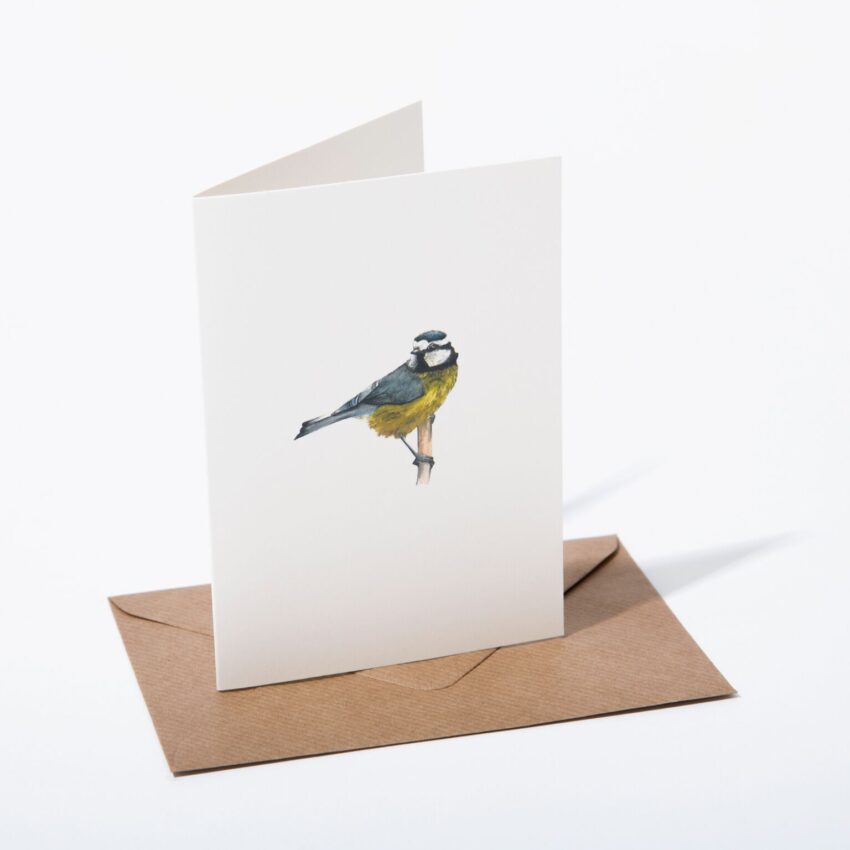 "Blue Tit" Greetings Card