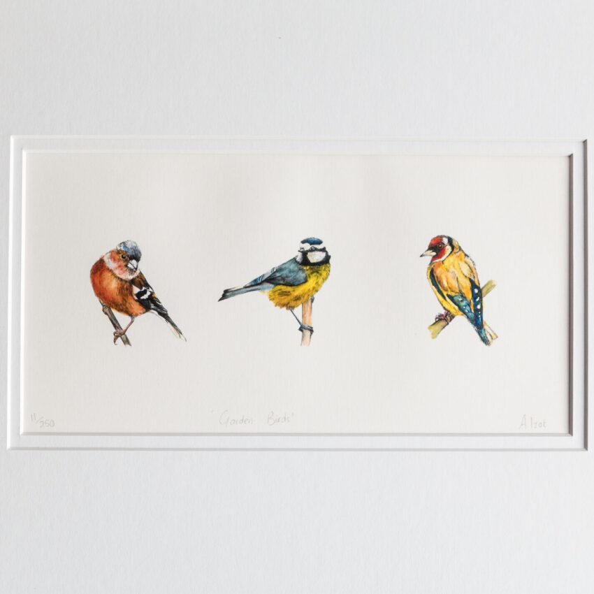 "Garden Birds" Print