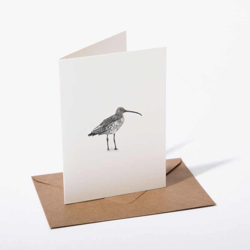 "Curlew" Greeting Card