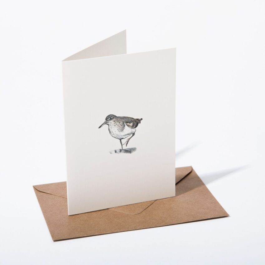 "Dunlin" Greeting Card